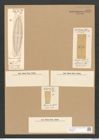Stauroneis nobilis Schum. (de-Toni-Nr.: Genus 6, Species 868) Zeichnungen Sammlung Grunow Nr. 1729 (NHMW-BOT-W0368608)